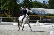 Poney de sport 