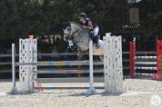 Poney de sport 