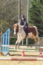 Poney de sport 5 ans