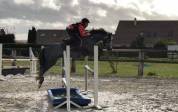 Poney sport C Imagine Wells