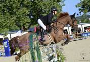 Haras d'Étel - Pension pour chevaux à 6 mins de Vannes 