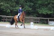 Jeune ibérique dressage concours