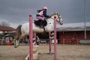 Superbe ponette de sport