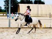 Superbe ponette de sport