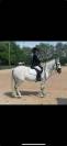 Superbe ponette de sport