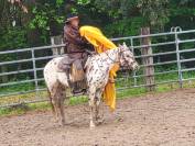 3 ans HONGRE APPALOOSA 