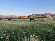 Camps d'équitation été 2025