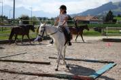 Camps d'équitation été 2025