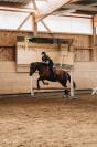 Camps d'équitation été 2025