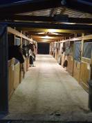 Pension pré ou paddock/box - Ecurie Cyrano (63490 Sugères)