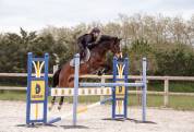 Poney de 7ans potentiel as1