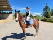 Poney de 7ans potentiel as1