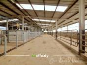 35 HECTARES - 3500 m² de HANGARS - FERME -155 m²