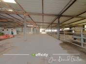 35 HECTARES - 3500 m² de HANGARS - FERME -155 m²