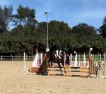 À vendre Poney 9 ans CSO