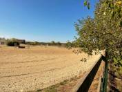 Magnifique Haras à 20 minutes d'Orléans