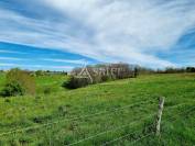 Proche Montauban, Exploitation d'Elevage avec maison en ruine da