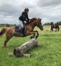 Poney de sport avec radios !