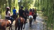 Pensions chevaux/poneys à 1h30 de Paris, 4 enseignants.