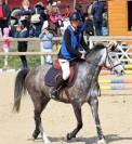 Poney D de selle Français Hongre 6 ans