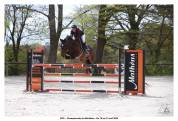 Super cheval d'amateur