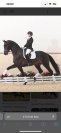 Pouliche z pp dressage