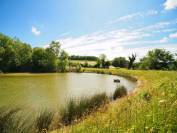 BELLE DEMEURE AVEC GITE 4,9hectares