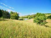 BELLE DEMEURE AVEC GITE 4,9hectares