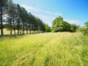 BELLE DEMEURE AVEC GITE 4,9hectares