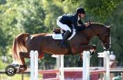 Foal femelle alezane crins lavés Top souche CSO Quarnac