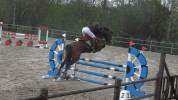 Top jument super pour jumping, concours complet