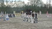 Top jument super pour jumping, concours complet