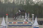 Top jument super pour jumping, concours complet