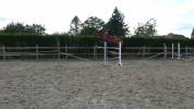 Top jument super pour jumping, concours complet