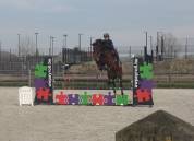 Top jument super pour jumping, concours complet