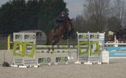 Top jument super pour jumping, concours complet