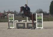 Top jument super pour jumping, concours complet