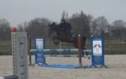 Top jument super pour jumping, concours complet