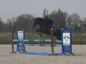 Top jument super pour jumping, concours complet