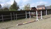 Top jument super pour jumping, concours complet