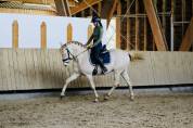 Cheval pure race espagnol creme 