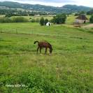 Onyx des arques sf par Victor Hugo 