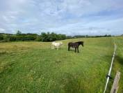 Superbe Domaine Equestre de 42 hectares