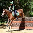 Poney FEI 15ans vendue comme poulinière/petits épreuves