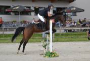 Jument 8 ans Idéale sport, CCE-CROSS-CSO