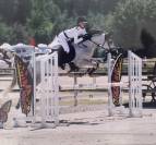 Poney de sport