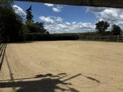 Haras, 15 hectares, 3 maisons