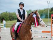 Cheval de sport 12 Ans