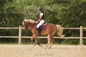 Poney pfs 4 ans 