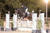 Jument  9ans (CSO et Dressage)